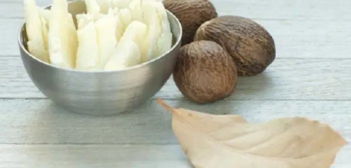 Quelles sont les différentes propriétés du beurre de karité
